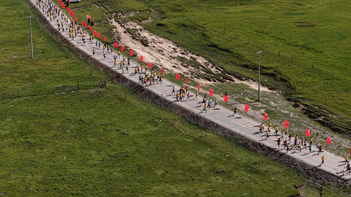 美结合, 赛在海晏举 美结合, 赛在海晏举