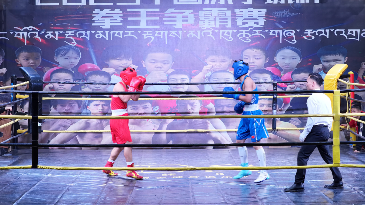 entit, 来自全国各 entit, 来自全国各