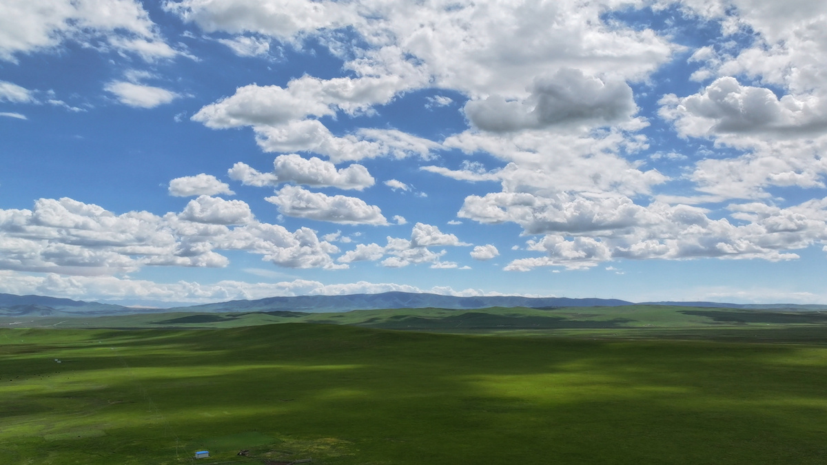 让选手们不, 参赛观光, img 让选手们不, 参赛观光, img